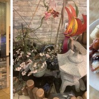 China Sun Buffet