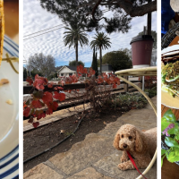 Corner House Cafe