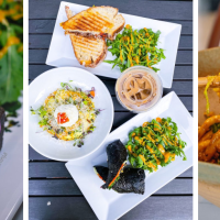 For Five Coffee Roasters