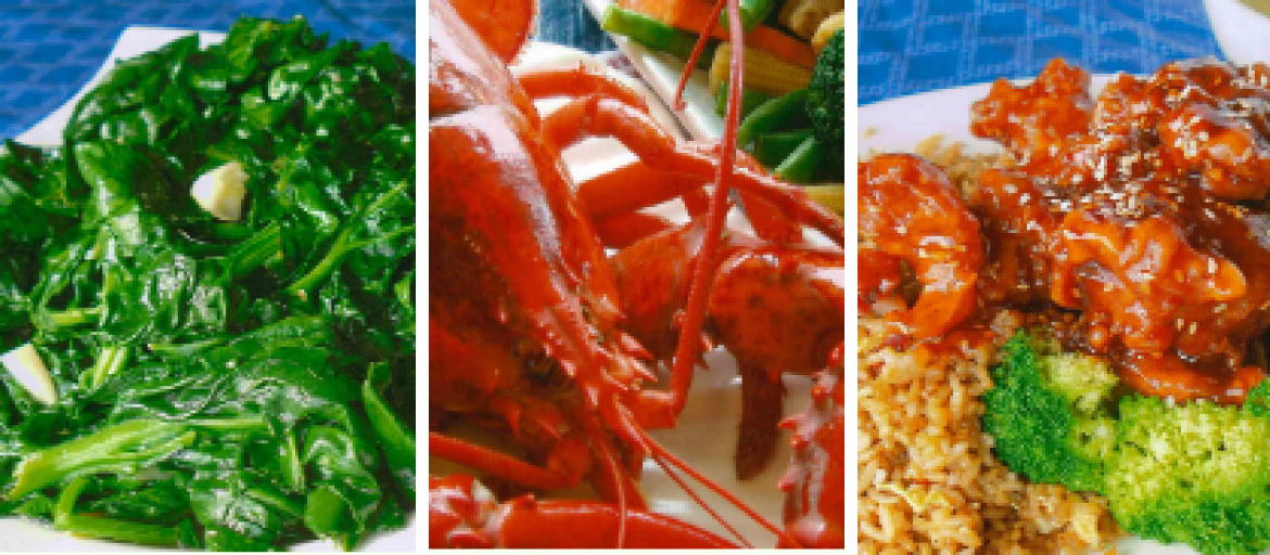Banner 2