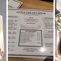 Little Chicken House