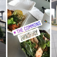 Microsoft Commons