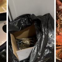 MOES Crabs and Seafood