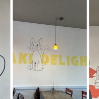 Teriyaki Delite