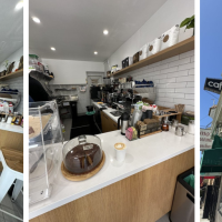The Coffee Berry SF
