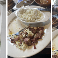 The Hungry Haven