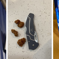 Ward's The Crawfish Hole