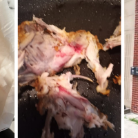 Zeb’s Chicken Shack